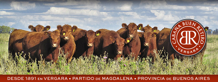 Documentos T&eacute;cnicos