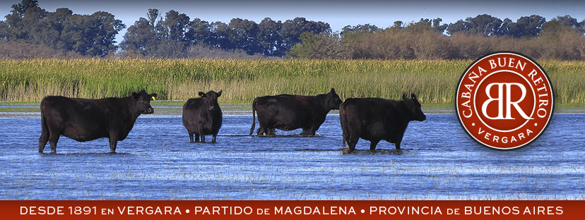 Sistema de selecci&oacute;n