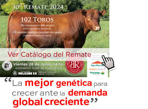 Cat&aacute;logo remate 2016